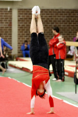 _MG_0763