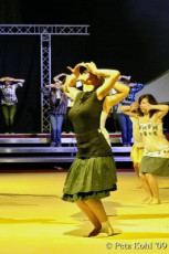 Gala 2009 (269)