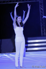 Gala2013 (3664)