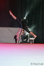 Gala2013 (3974)