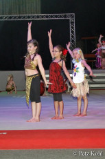 Gala2013 (2452)