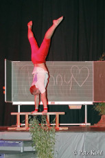 Gala2013 (4019)