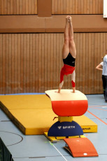 Turnfest (101251)