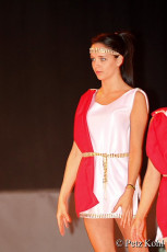 Gala2013 (3715)