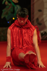 Gala Gymanji (20)