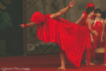 Gala Gymanji (16)