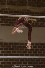 Christmas Gym Cup - WAG (13)