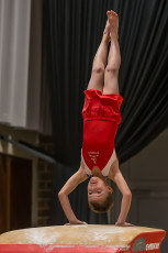 Christmas_Gym_Youth_Cup_2017 (22)