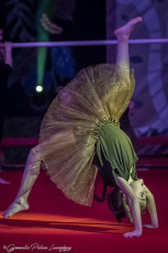 Gala Gymanji (9)