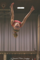 Christmas Gym Cup - WAG (93)