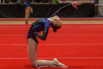 Christmas Gym Cup - WAG (106)
