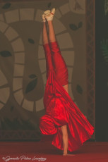Gala Gymanji (17)