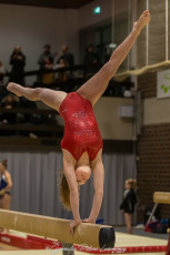 Christmas Gym Cup - WAG (85)
