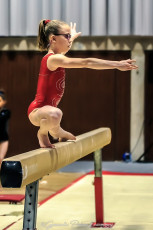 Christmas Gym Cup - WAG (90)