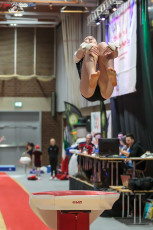CGC 2019 Open - Poussines (59)