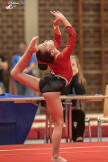 CGC 2019 Open - Poussines (339)