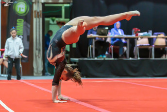 CGC 2019 Open - Poussines (250)