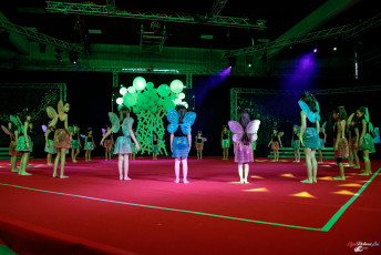 2020-02-01 Mini Gala - Noël Vo