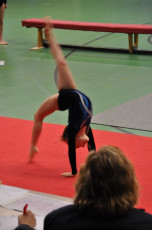 DSC_8245