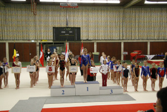2010 CGC