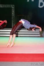 Gala2013 (3947)