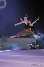 Gala2013 (2183)