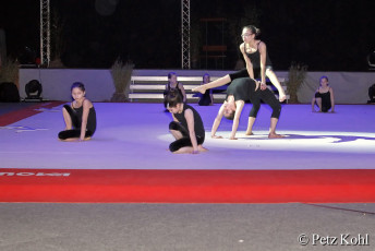 Gala2013 (3047)