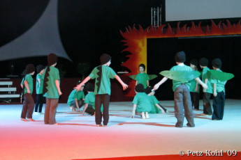 Gala 2009 (137)