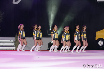 Gala2013 (4079)