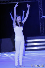 Gala2013 (3664)