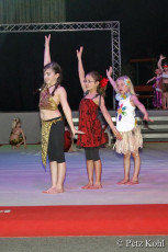 Gala2013 (2452)
