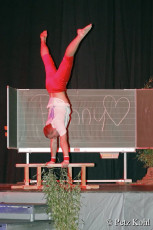 Gala2013 (4019)