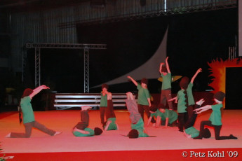 Gala 2009 (139)