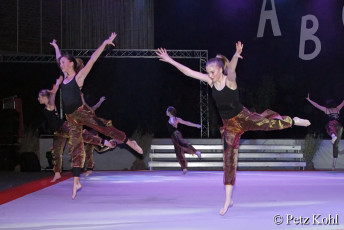 Gala2013 (2260)