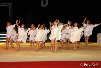 Gala2013 (3097)