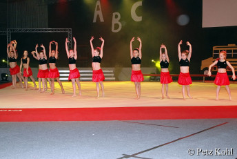 Gala2013 (2043)