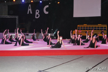 Gala2013 (3026)