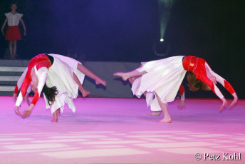 Gala2013 (1541)