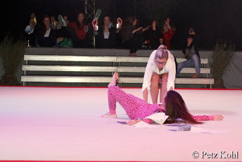 Gala2013 (1481)