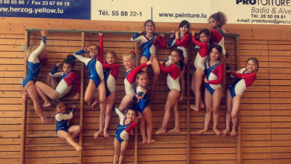 2017 Championats des Sections