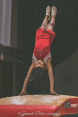 Christmas_Gym_Youth_Cup_2017 (28)