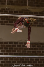 Christmas Gym Cup - WAG (13)