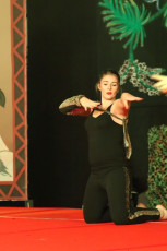 2018-01-27-21.09.43-1