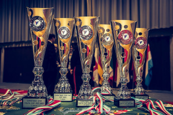 Christmas Gym Cup - WAG (120)