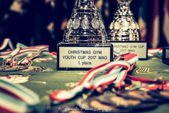 Christmas Gym Cup - WAG (122)