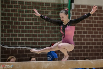 Christmas Gym Cup 2018 - WAG (197)