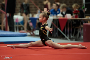 Christmas Gym Cup 2018 - WAG (51)