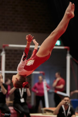 Christmas Gym Cup 2018 - WAG (151)