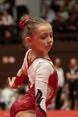 Christmas Gym Cup 2018 - WAG (149)