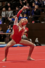 Christmas Gym Cup 2018 - WAG (153)